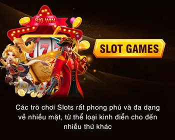 Sân bóng đá với quả bóng và cúp